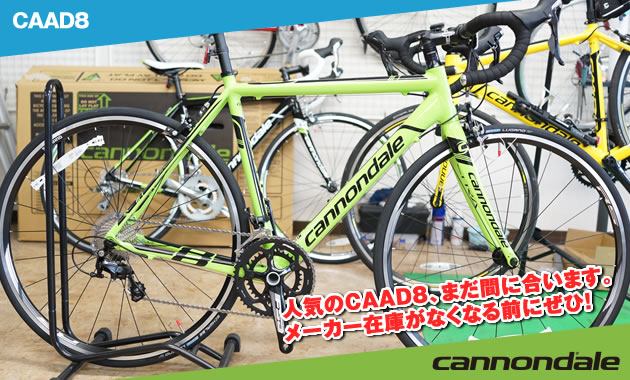 はっとりスポーツ商会｜軽量アルミバイクの定番！CAAD8