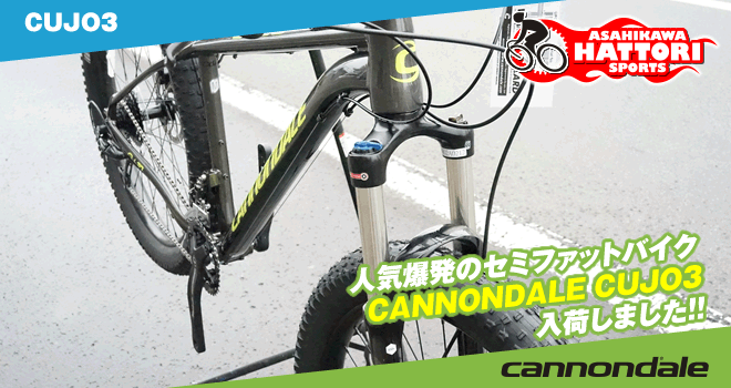 はっとりスポーツ商会｜人気爆発のセミファットバイク CANNONDALE