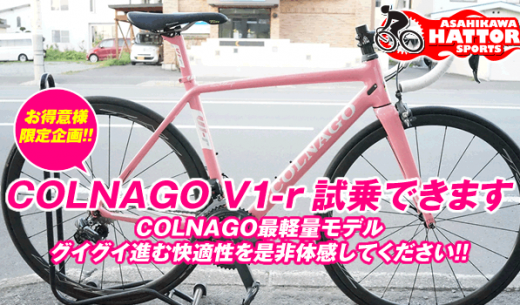 古畑任三郎の愛車celine 旭川の自転車専門店はっとりスポーツ商会 古畑任三郎の愛車celine 旭川の自転車専門店はっとりスポーツ商会